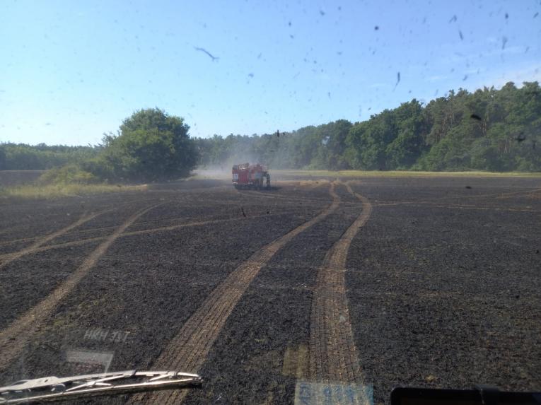 Požár pole obilí.