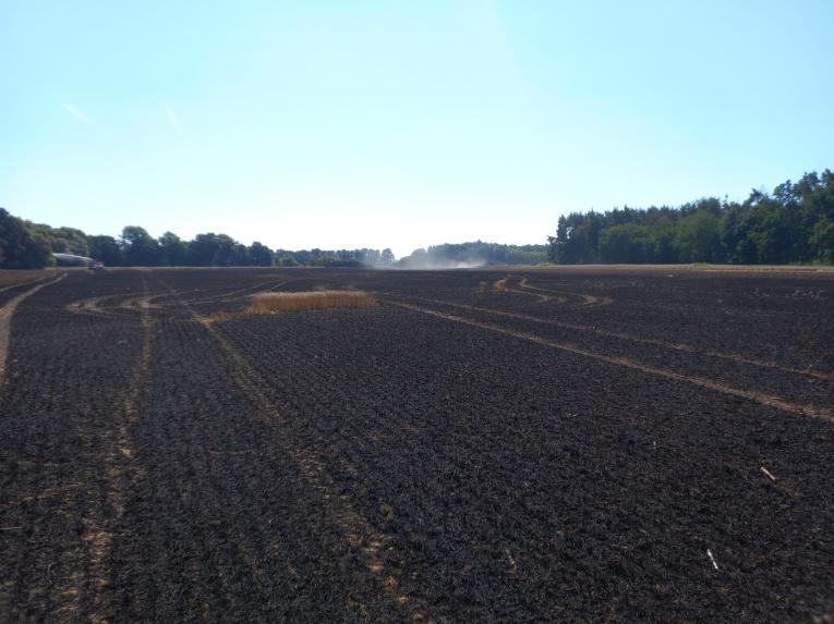 Požár pole obilí.